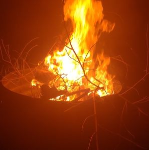 Meet your Posher, Todd